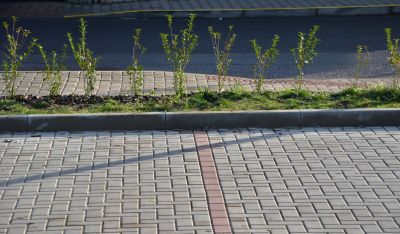 Customization Options